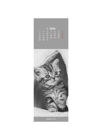 Cats Bookmark Calendar 2024 - january