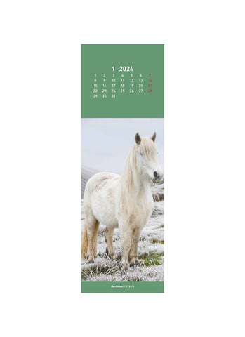 Horses Bookmark Calendar 2024 - january