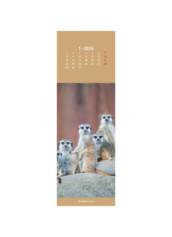 Meerkats Bookmark Calendar 2024 - january