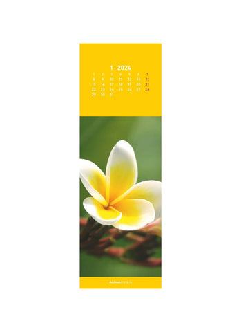 Zen Bookmark Calendar 2024 - january