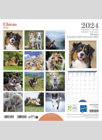 Dogs Wall Calendar 2024 - back