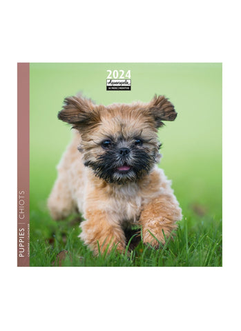 Puppies Mini Calendar 2024