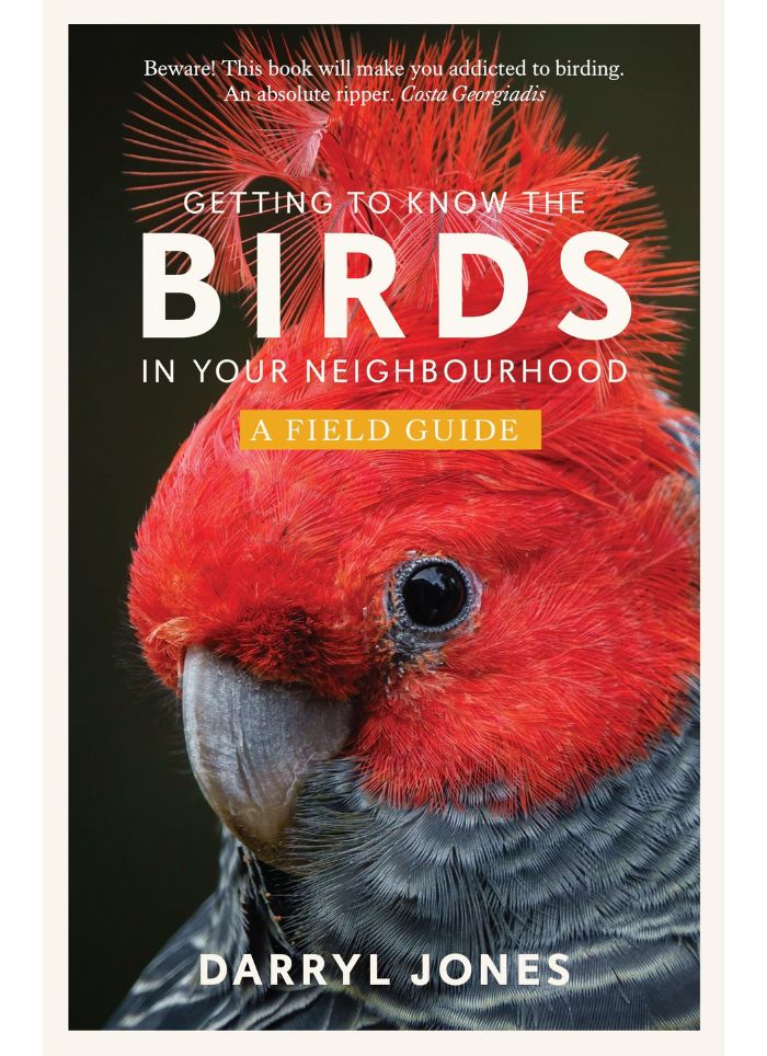 GETTING TO KNOW THE BIRDS IN YOUR NEIGHBOURHOOD by Darryl Jones (PB)