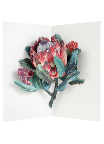 UWP Luxe 3D Pop-up Card - Protea