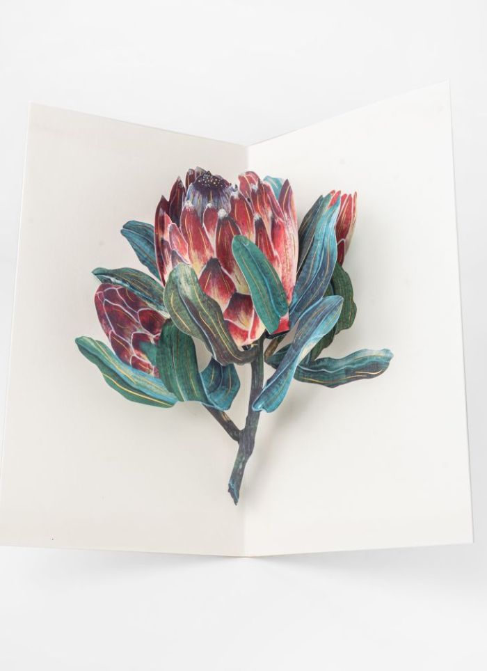 UWP Luxe 3D Pop-up Card - Protea
