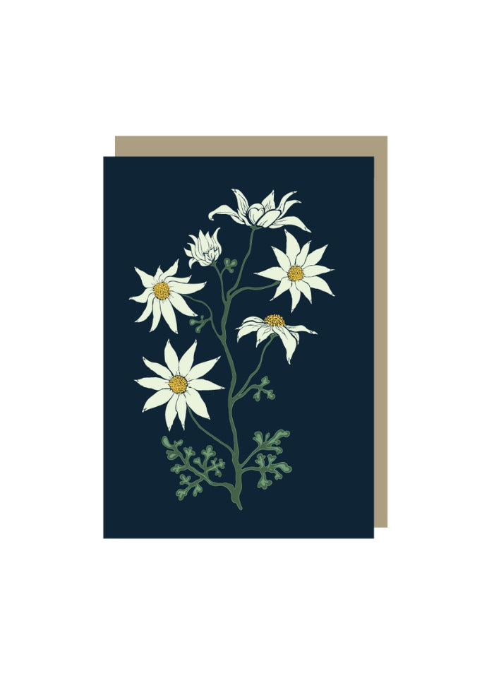 Emma Miszalski Mini Card - Flannel Flowers