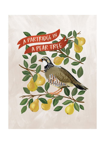 Partridge in a Pear Tree Christmas Card