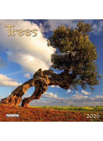 Trees Wall Calendar 2026 - front