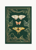 UWP Luxe 3D Pop-up Card - Flutter - cover