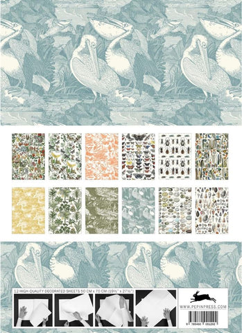 Natural History Gift & Creative Wrapping Papers- back