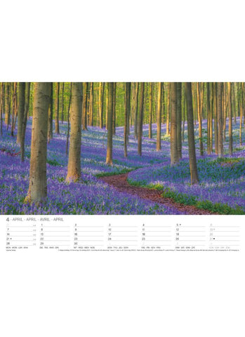 Magical Forests Large Wall Calendar 2025 - month