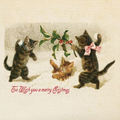 Vintage Christmas greeting card featuring three kittens playing with holly leaves and berries on a cream-colored background, with the text 'To Wish you a merry Christmas' in red script at the bottom.