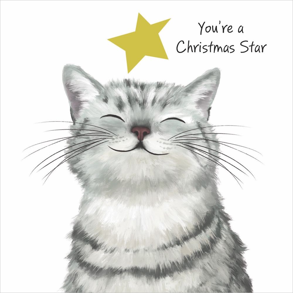 Cat with a yellow star and text 'You're a Christmas Star' on a white background