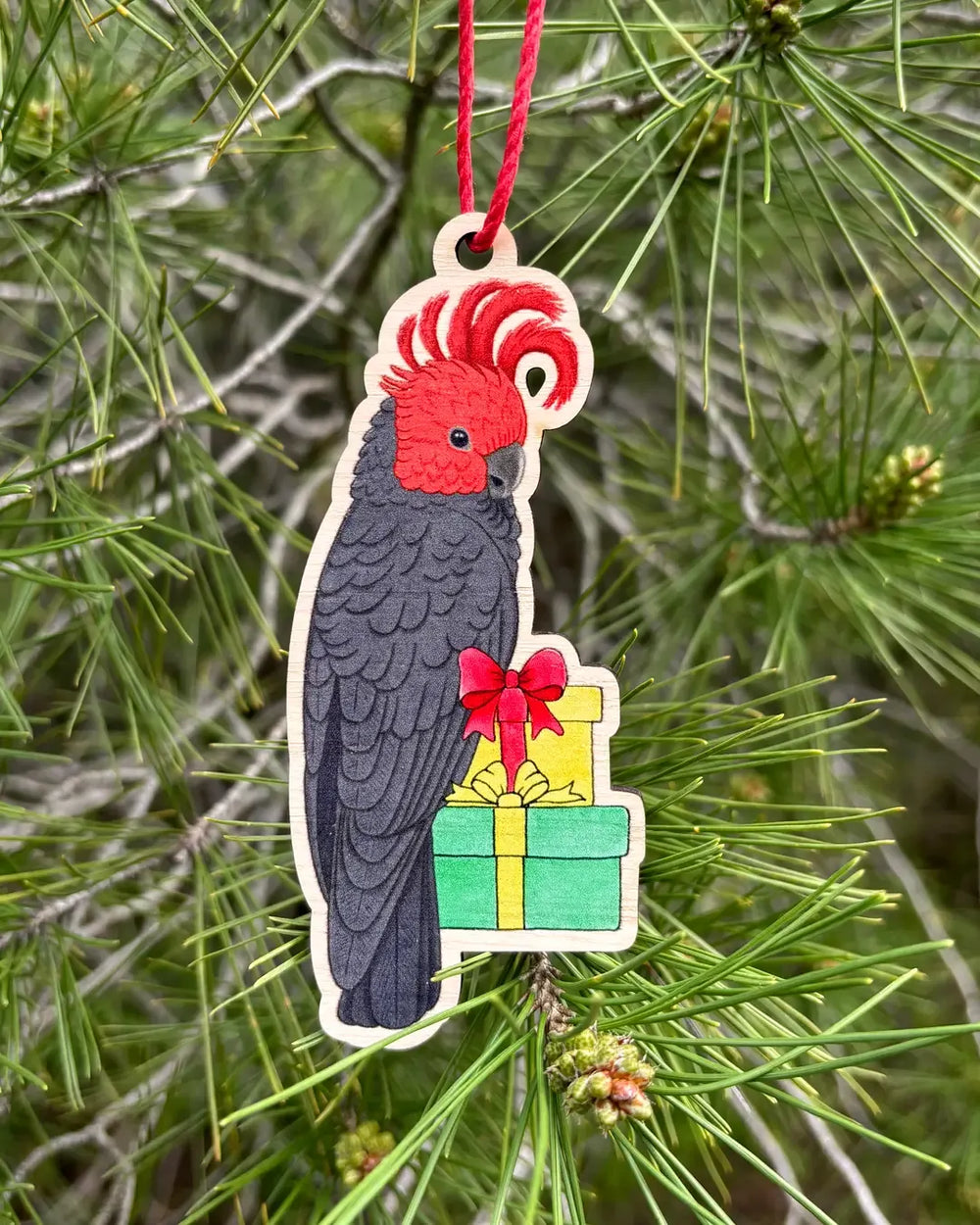 A gang gang bird in a tree.