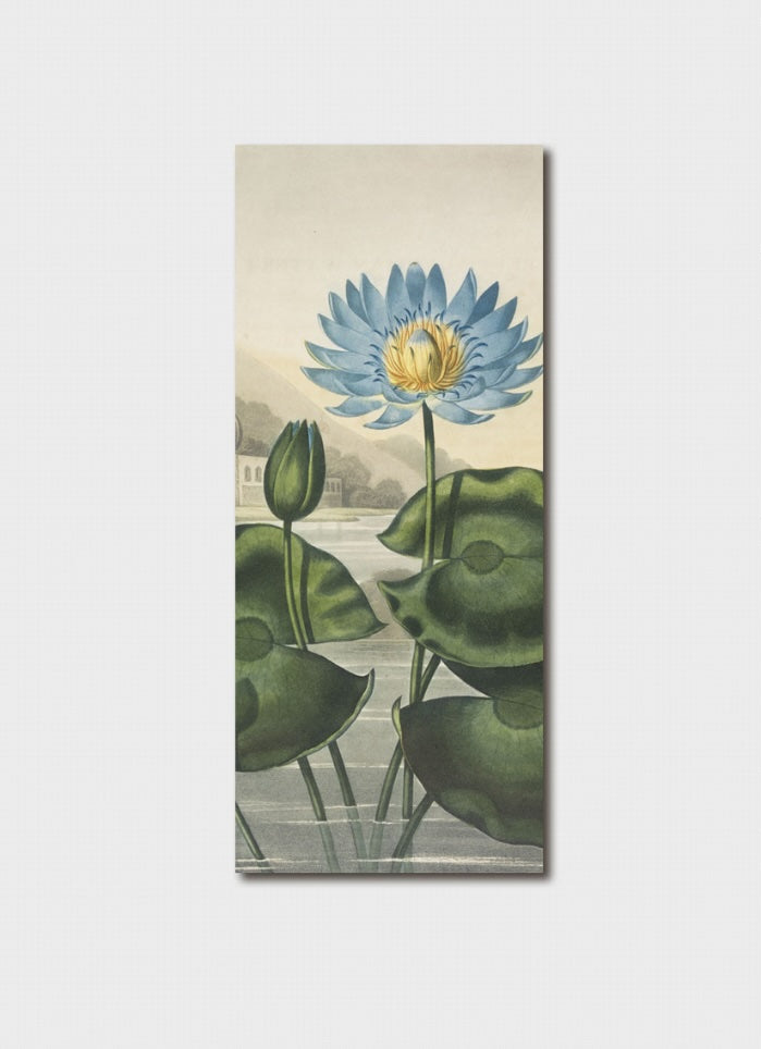 The Blue Egyptian Water Lily Bookmark