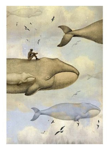 Catrin Welz-Stein Card - Whales