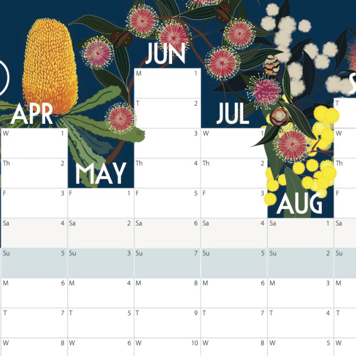 A monthly calendar page with April through August dates in a white grid, decorated with Australian floral artwork including a yellow banknote-shaped rose, pink blossoms, green leaves, and yellow wattle flowers on a dark blue background.