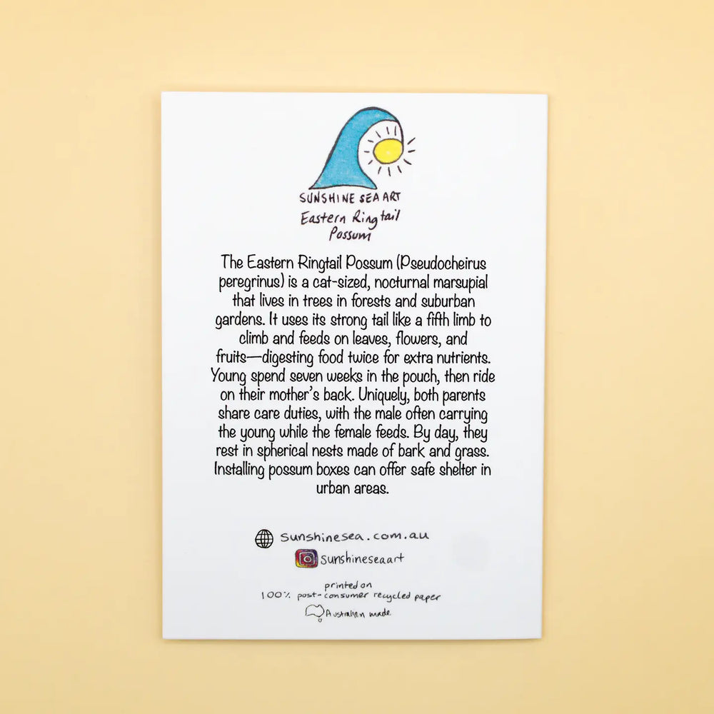 Educational poster about the Eastern Ringtail Possum on a beige background