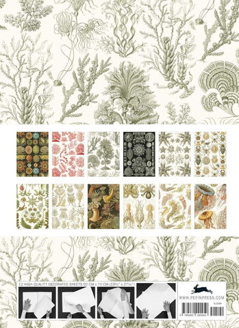 Art Forms in Nature Gift & Creative Wrapping Papers - back