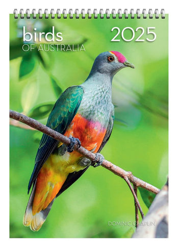 Birds of Australia Wall Calendar 2025