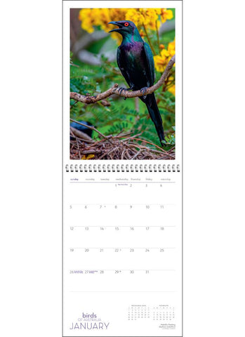 Birds of Australia Wall Calendar 2025 - month