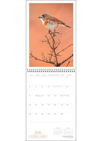 Birds of Australia Wall Calendar 2025 - month