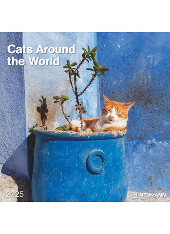 Cats Around the World Wall Calendar 2025