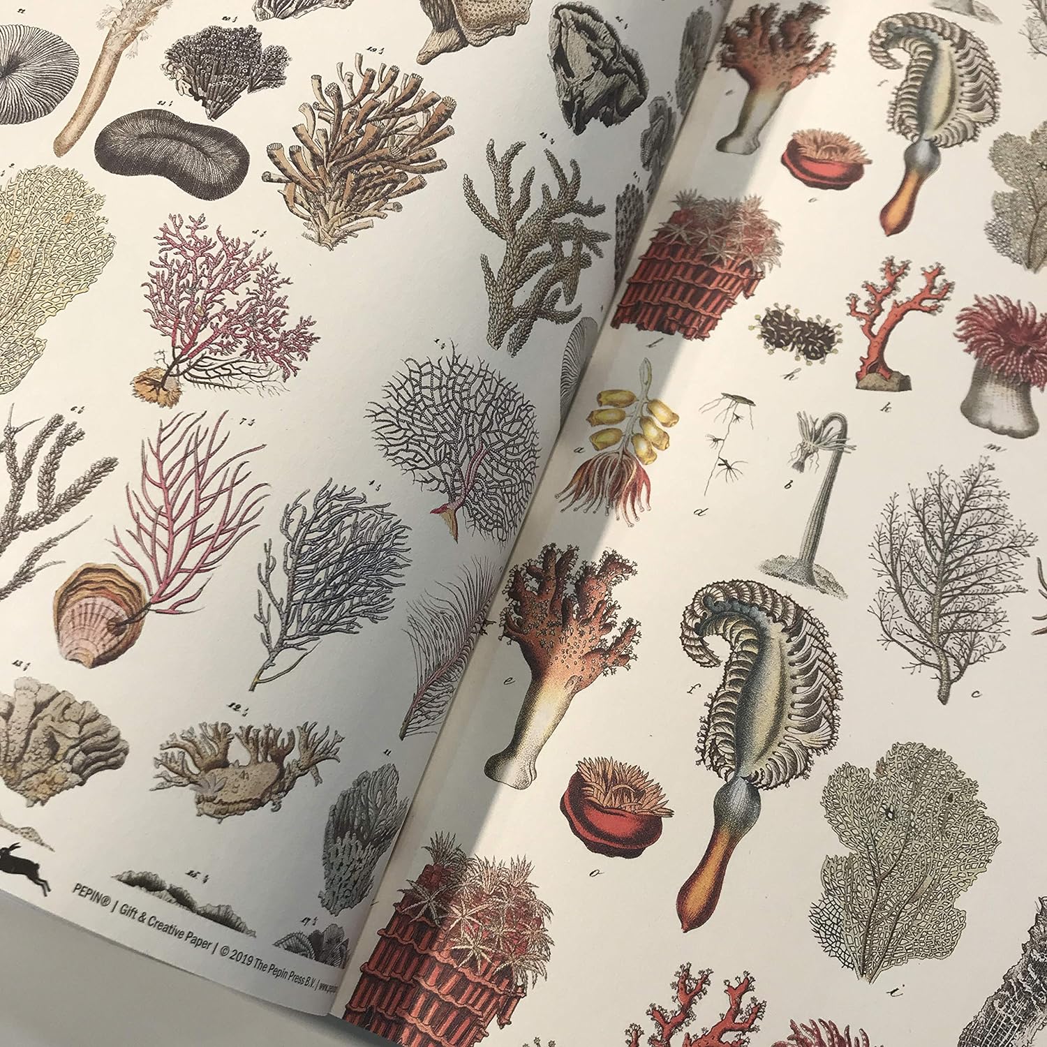 Marine Gift & Creative Wrapping Papers