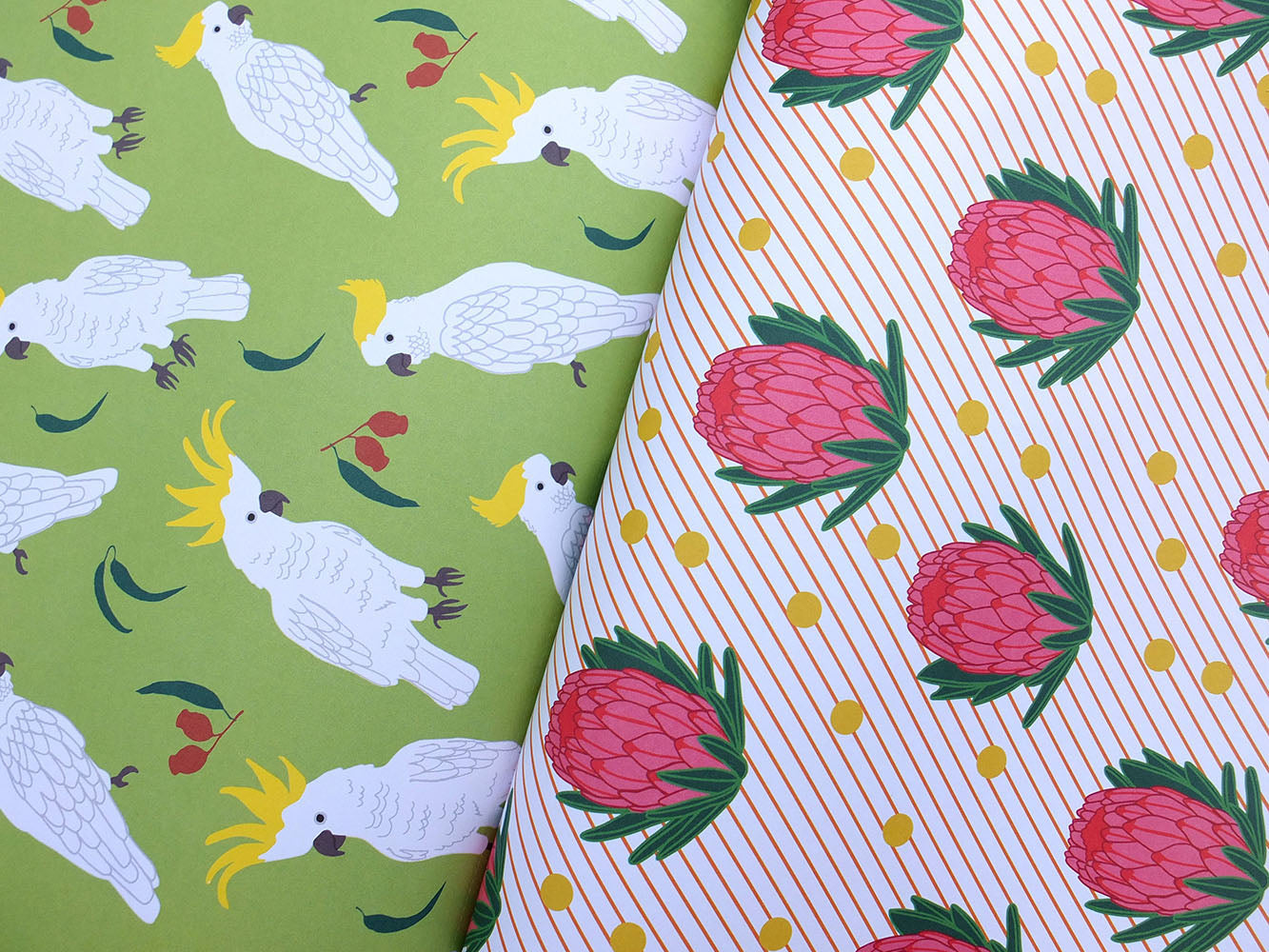 Australia by Alice Oehr: A Wrapping Paper Book