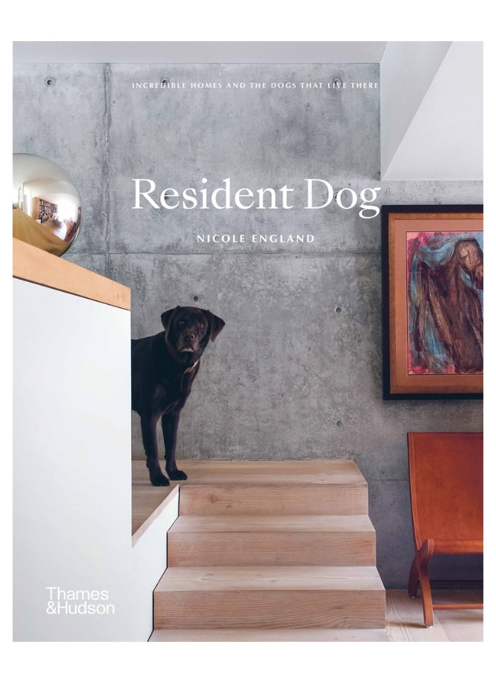 Resident Dog: Incredible Homes and the Dogs That Live There by Nicole England.