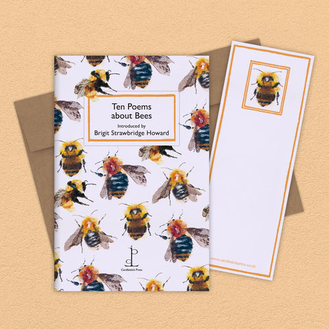 Cover of Ten Poems about Bees - poetry booklet, bookmark and envelope.