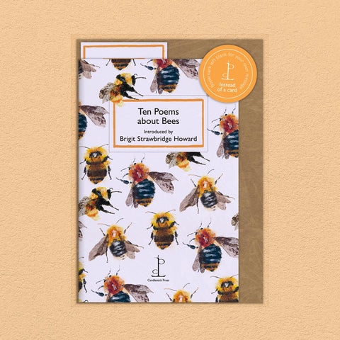 Cover of Ten Poems about Bees - poetry booklet, bookmark and envelope.