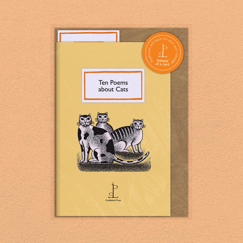 Cover of Instead of a Card - Ten Poems about Cats with envelope.