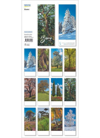 Baume / Trees Large Vertical Wall Calendar 2025 - back