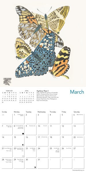 Calendar with butterfly illustrations for March on a white background