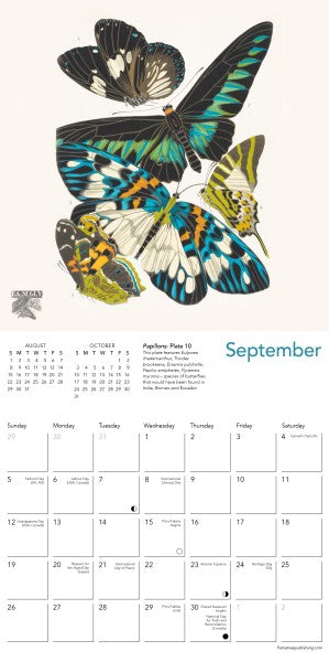 Calendar page for September with butterfly illustrations on a white background