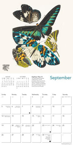 Calendar page for September with butterfly illustrations on a white background