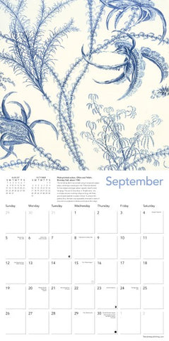 Calendar page for September with blue and white underwater scene design.