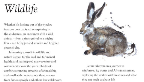 Wildlife - luxe nature series gift book