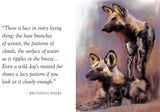 Wildlife - luxe nature series gift book