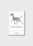 Hairy Maclary and Friends Bookplates
