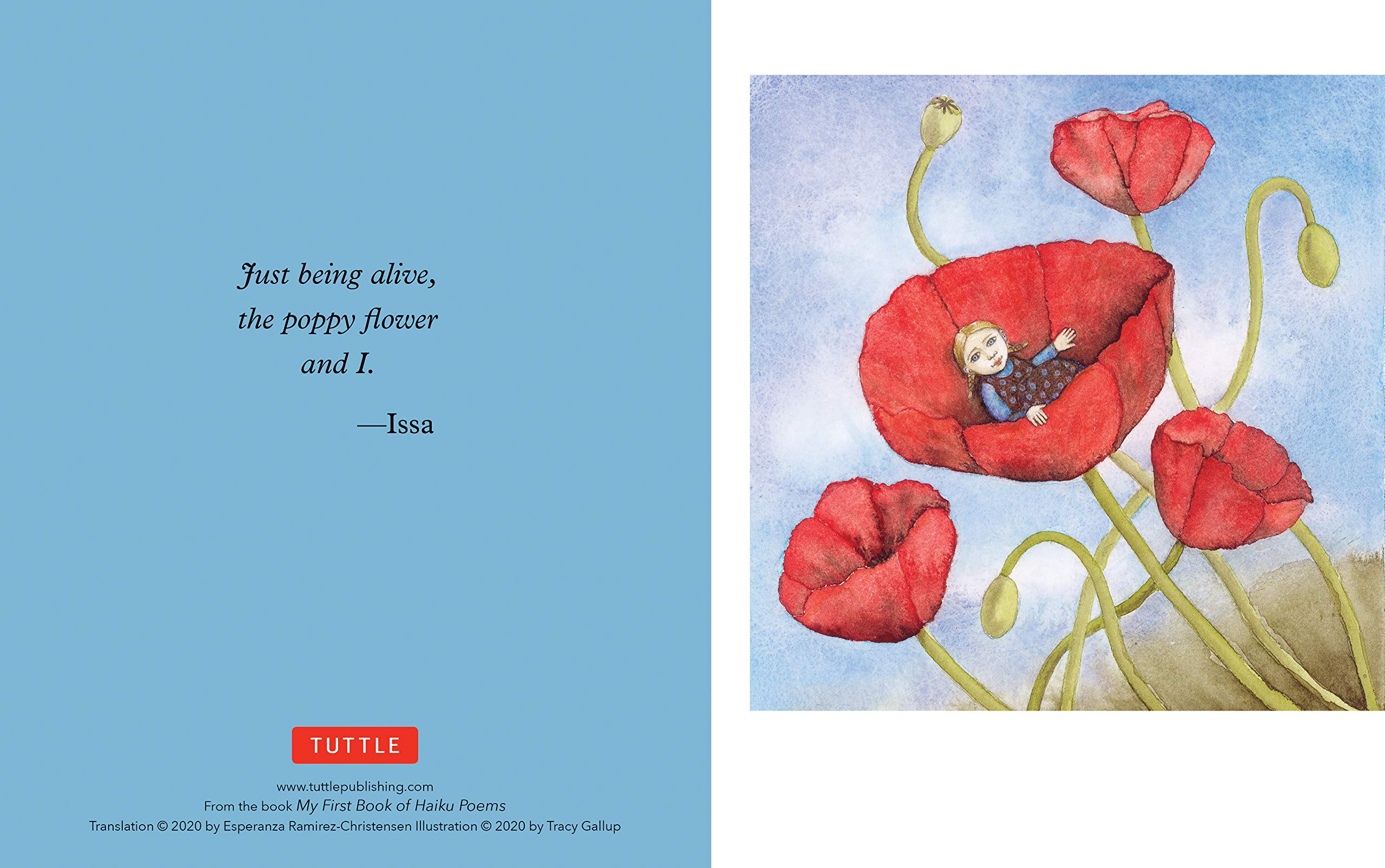 Japanese Haiku 16 Boxed Note Cards