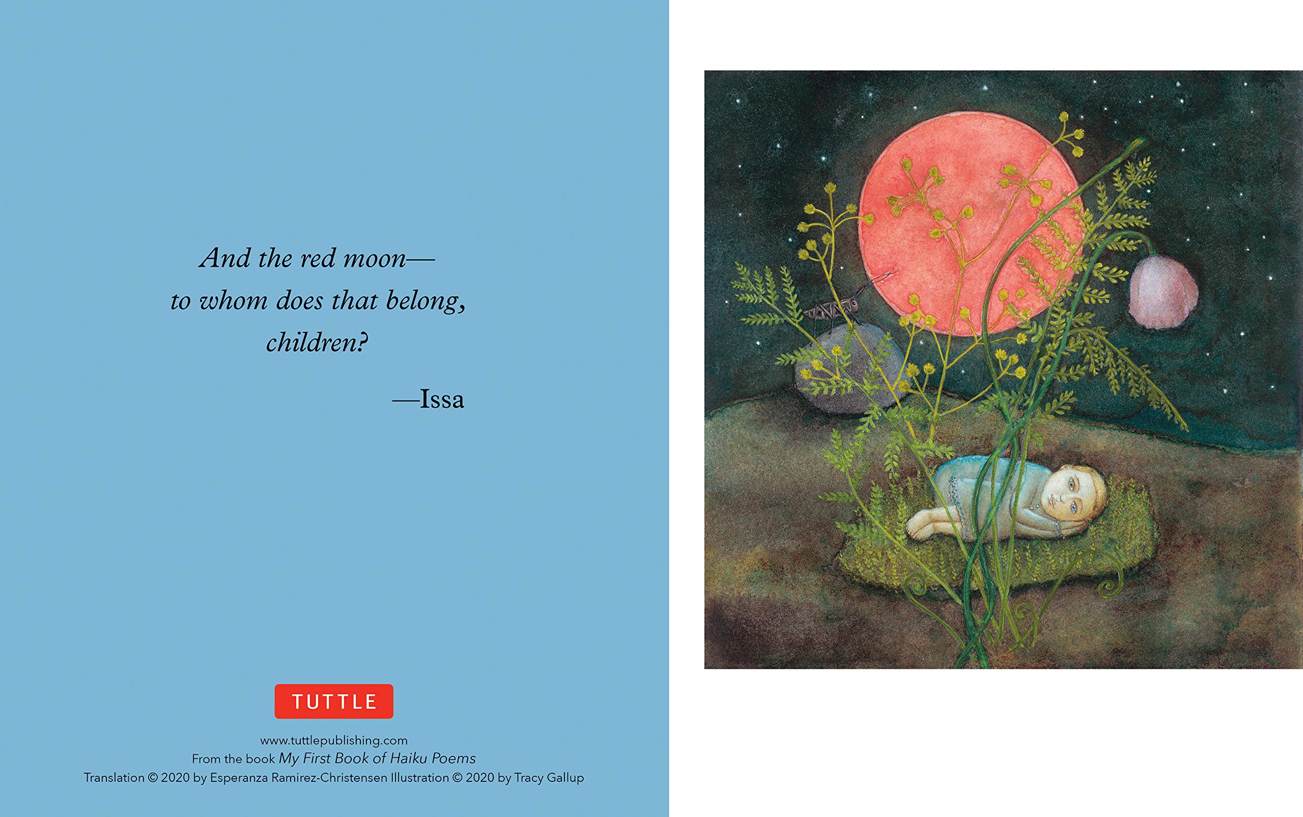 Japanese Haiku 16 Boxed Note Cards