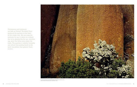 JOURNEYS INTO THE WILD, PHOTOGRAPHY OF PETER DOMBROVSKIS By Bob Brown (HB)