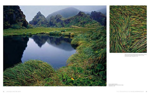 JOURNEYS INTO THE WILD, PHOTOGRAPHY OF PETER DOMBROVSKIS By Bob Brown (HB) - pages