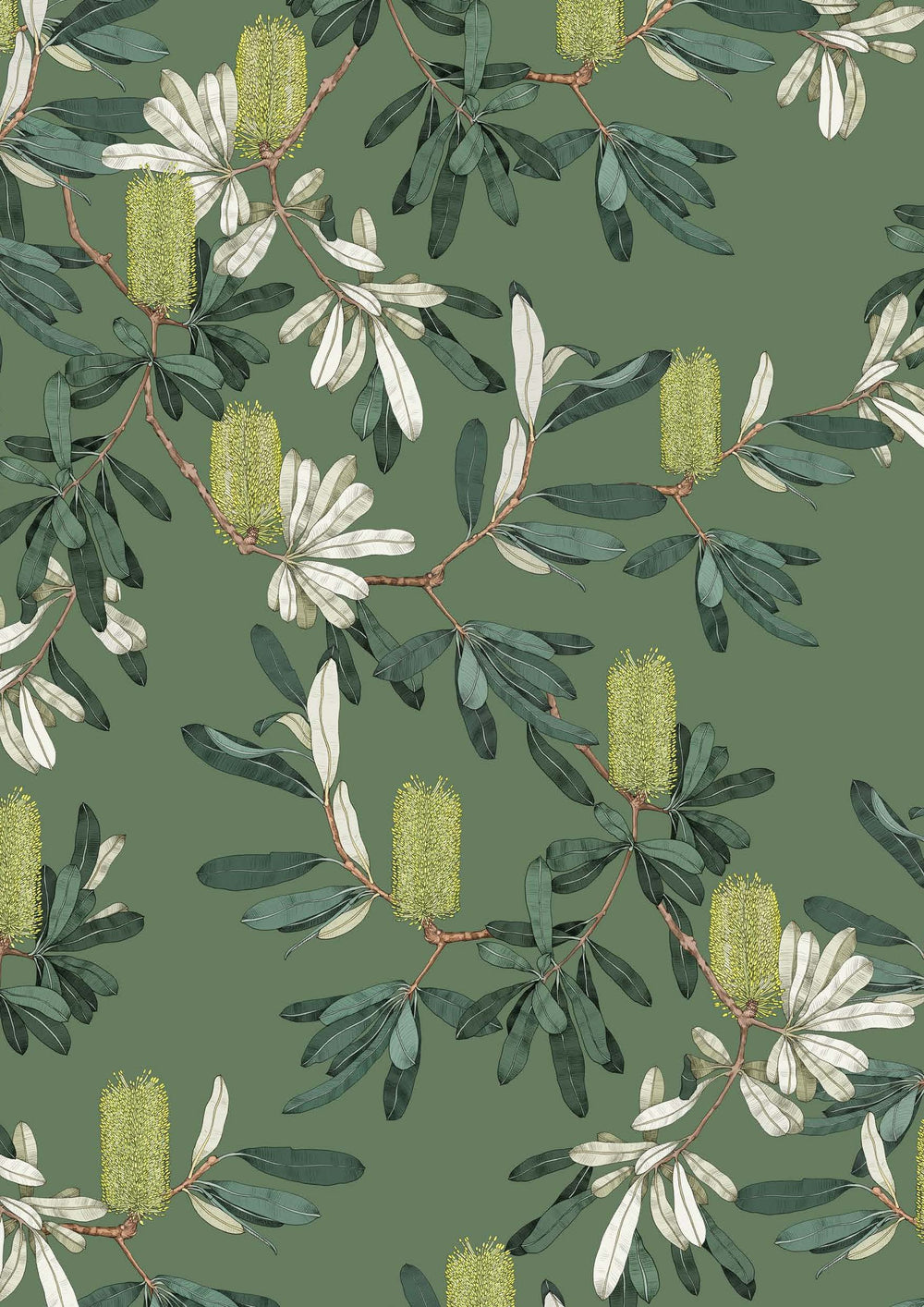 Edith Rewa - Botanicals Wrapping Paper Book - page