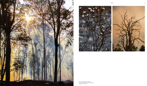 IN AN AUSTRALIAN LIGHT, Photographs From Across the Country (HB)- pages