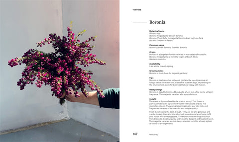 BUSH FLOWERS by Cassandra Hamilton, Michael Pavlou (HB)
