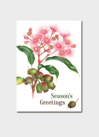 ILF Charity Christmas Card Pack - Elaine Musgrave