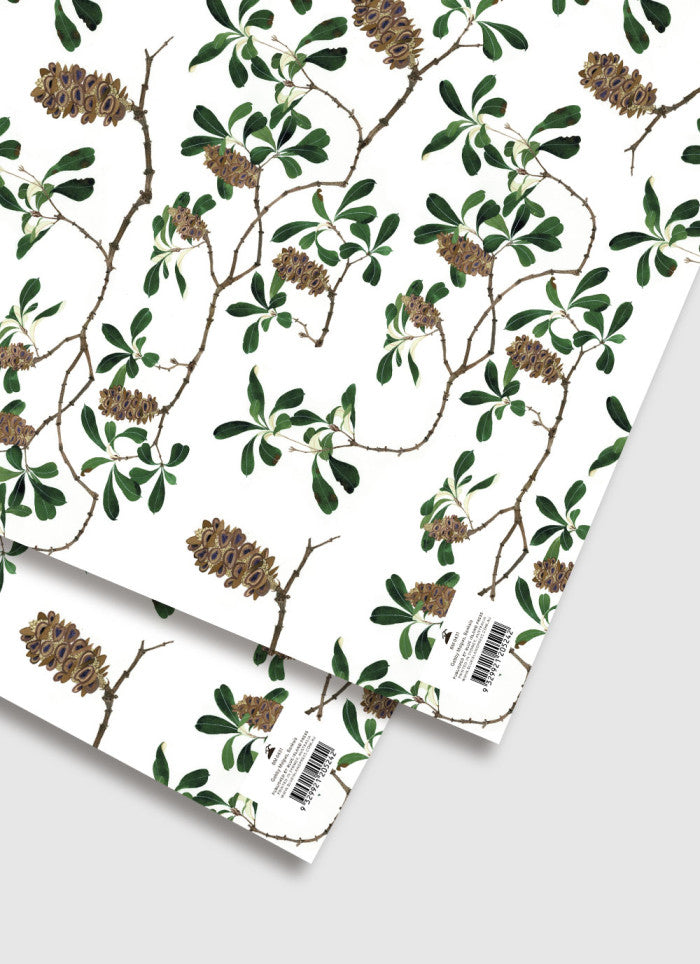 Gabby Malpas Banksia Wrapping Paper
